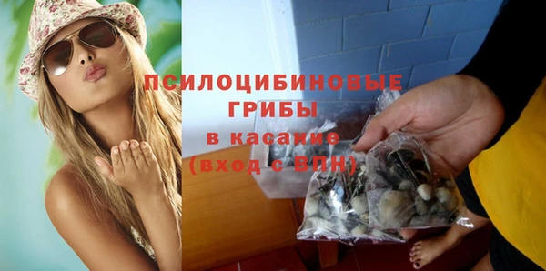 ГАЛЛЮЦИНОГЕННЫЕ ГРИБЫ Нязепетровск