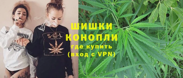 ГАЛЛЮЦИНОГЕННЫЕ ГРИБЫ Нязепетровск